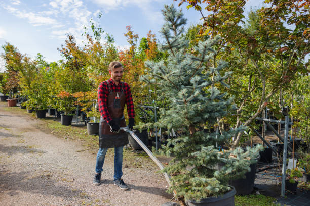 Best Commercial Tree Services  in Sully Square, VA